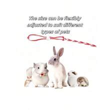 Hamster Leash,Harness Leash For Ferret,Guinea Pig,Squirrel,Rabbit Outdoor Pet Supplies