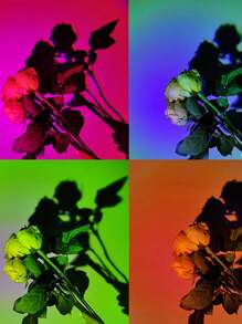 1 Pc USB Powered 16-Color Adjustable Sunset Red Projection Lamp With Remote Control, Indoor Decor Sunset Lighting, Bedroom Ambiance Light - Multicolor - View 4