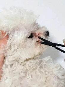 2pcs Easy Clean Eye Brush For Dog Lover And Dog Mom Loves & Cat Lover And Cat Mom Loves - Removes Tear Stains & Grooming - Multicolor - View 3