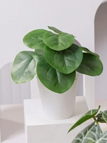 3 件/套仿真花盆、人造植物、人造花、房间、书桌、花园装饰、房间装饰用品、学校宿舍办公室装饰、户外派对活动节日生日派对装饰、礼物、家庭入口酒店餐厅客厅卧室婚宴厨房花园装饰、春夏装饰 - 彩色 - 查看 5