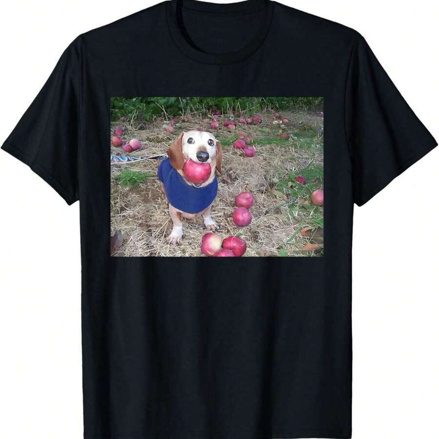 Apple Dog Meme Funny Dog With Apple In Mouth Funny Brainrot T-Shirt.Jpg - 黑色 - 查看 1