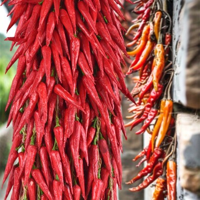 5/10 pezzi Corda di peperoncino rosso, simulazione realistica di verdure, adatta per corde appese per decorazione domestica e da cucina, accessori fotografici, Pasqua, feste, decorazione da giardino e abbellimento della stanza da bagno, corda appesa artificiale di peperoncino, simulazione reale di peperoncino, verdura, frutta, ghirlanda, adatta per decorazione domestica, cucina, fattoria, feste, pareti, regali rossi per compleanni e lauree, piante finte