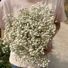 100g Natural Gypsophila Bouquet - Bohemian Style Gypsophila Flowers, Suitable For Home Decor, Christmas, Thanksgiving, Valentine's Day, Graduation Ceremony Table Centerpiece Gifts Birthday