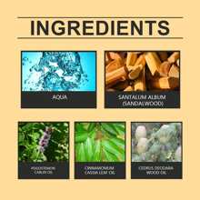 East Moon Men's Perfume Long Lasting Light Wood Fragrance Fresh Natural Release Men's Charm Perfume - 1 cái - Xem 5