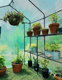 Ohuhu Greenhouse For Outdoors With Screen Windows, Walk In Plant Greenhouses Heavy Duty With Durable PE Cover, 3 Tiers 12 Shelves Stands Plastic Portable Green House With Shelf Clips
