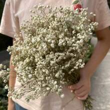 100g Natural Gypsophila Bouquet - Bohemian Style Gypsophila Flowers, Suitable For Home Decor, Christmas, Thanksgiving, Valentine's Day, Graduation Ceremony Table Centerpiece Gifts Birthday