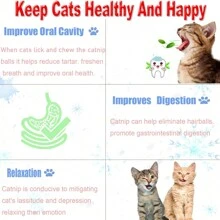 Catnip Ball Toys For Indoor Cats Wall, 3 Pack Rotatable Catnip Wall Balls Cat Nips Cats Kitty Toys Indoor Interactive Cat Lick Catnip Ball Pet Christmas Toy For Teeth Cleaning Dental Catnip Toys Ball - 彩色 - 查看 6