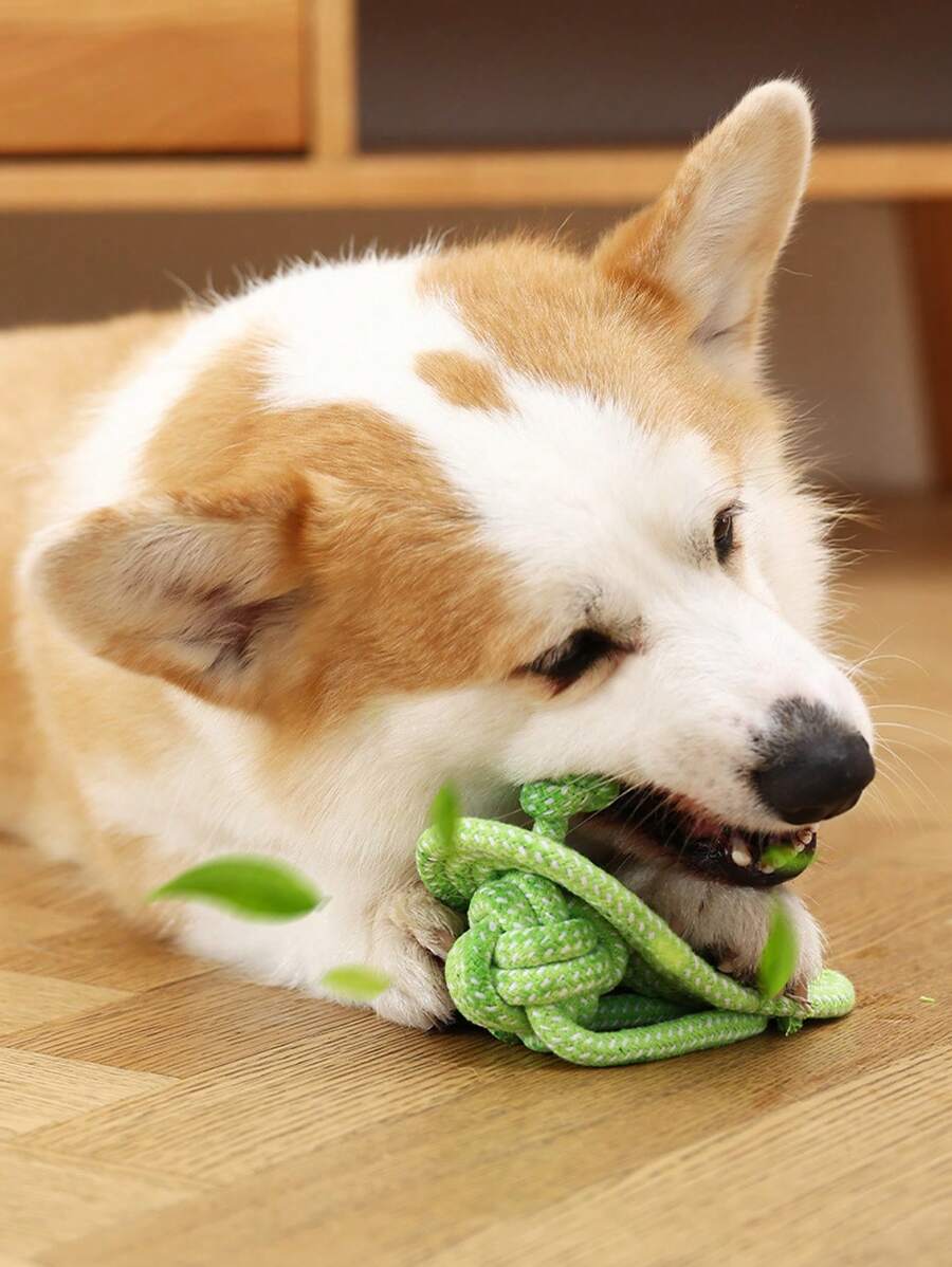 多色带结咀嚼绳玩具，适合猫/狗爱好者的礼物和狗/猫妈妈爱宠物、牙齿护理配件 - 彩色 - 查看 1