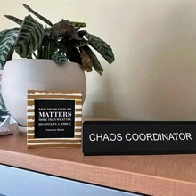 Chaos Coordinator" Decorative Metal Desk Nameplate - Perfect Office Decor & Coworker Gift, No Power Needed, Holiday Decoration, Amusing Trinket
