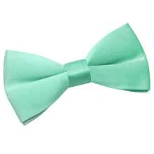 1 Pc Solid Color Polyester Bow Tie, Suitable For All Seasons - Multicolor - View 25