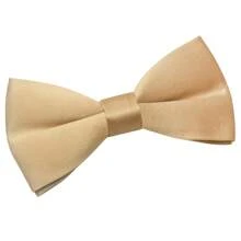 1 Pc Solid Color Polyester Bow Tie, Suitable For All Seasons - Multicolor - View 14
