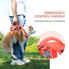 HP294【三档调节胸背】三档调节胸背 - 黑色 - 查看 10