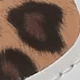 豹
