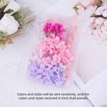 1 盒永生花 DIY 材料套装，节日礼物，热销现货 - 紫色系 - 查看 20