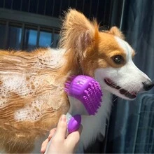 Pet Dog Bathing Brush, Suitable For Massaging And Cleaning Dogs And Cats, Bathing Brush - Mauve Purple - View 1