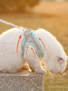 2pcs/Set Reflective Cat Dog Leash And Harness Set - Comfortable, Breathable Mesh Vest With Padded Nylon Lead For Small To Medium Breeds Pet Collars - No-Choke Design With Dual D-Ring