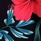 彩色