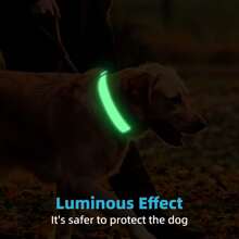 Rokhevn 1 pieza Collar personalizado para perro con nombre e información de contacto impresa en UV - Collar de seguridad de nailon reflectante visible de noche, hebilla ajustable, soporte para etiqueta de identificación de mascota