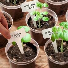 24 Pack 6/5/4/3-Inch Transparent Nursery Flowerpot Set (Flowerpot+Drain+Plant Marker Card), Transparent Plant Flowerpot, Plant Plastic Nursery Flowerpot, Seed Starting Flowerpot (3+4+5+6 Inches) Suitable For Various Plant Types And Growth Stages. Each Flowerpot Is Equipped With A Drainage Tray And A Plant Label Card For Easy Organization. Transparent Plastic Design Allows You To Easily Monitor Root Health And Soil Moisture - Clear - View 8