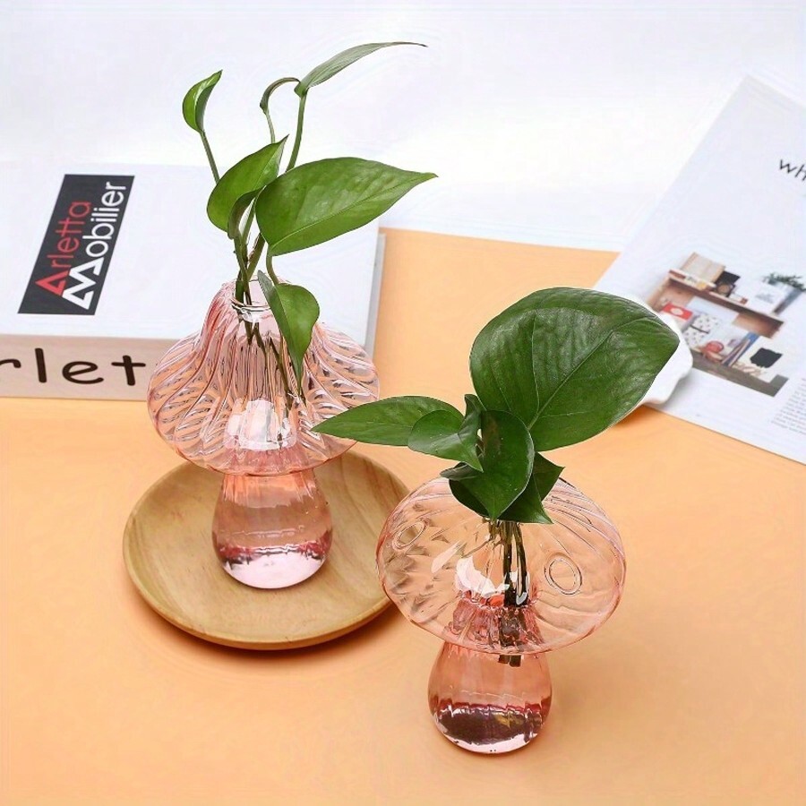 Jardín Botella Vidrio 21x10cm Kit 3 Terrarios De Vidrio Para Plantas -  Botellas Micro Paisaje 21x10x10 Cm - Ideal Suculentas Y Musgo Mini  Ecosistema Bricolaje, image size:900x900