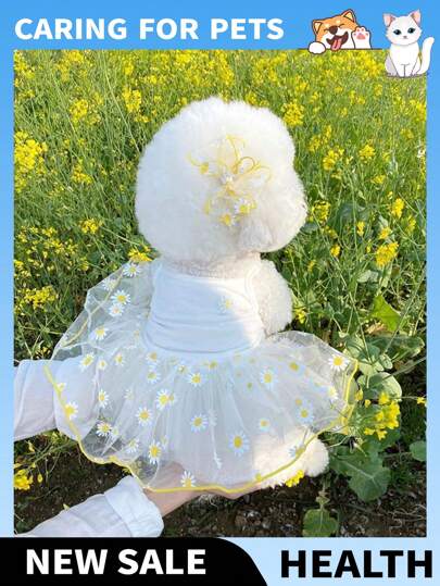 1 件宠物网眼裙，适合博美犬、比熊犬、泰迪犬、约克夏犬、雪纳瑞犬、猫等。夏季薄款宠物纱布裙