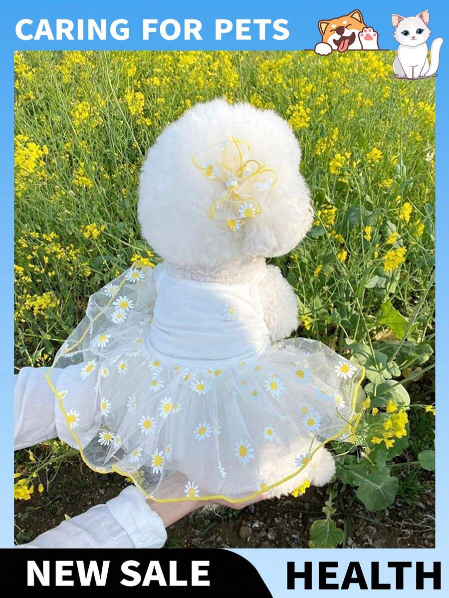 1 件宠物网眼裙，适合博美犬、比熊犬、泰迪犬、约克夏犬、雪纳瑞犬、猫等。夏季薄款宠物纱布裙 - 黃色 - 查看 1