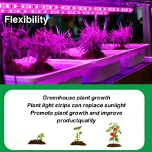 LED Pflanzenwachstums-Lichtstreifen, 1 Stück Vollspektrum LED Pflanzenwachstums-Lichtstreifen, per USB betrieben, für Gewächshaus, Garten, Zuhause, Balkon Aufzucht