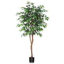 6 Feet Artificial Ficus Tree, Tall Lifelike Greenery With Natural Wood Trunk Living Room, Office Floor And Corner Decor - 5' - 查看 9