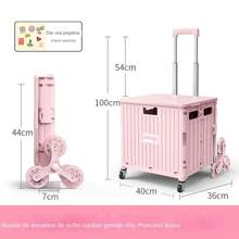 65L Rosa