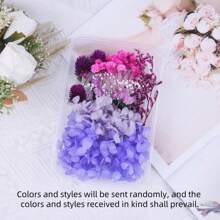 1 盒永生花 DIY 材料套装，节日礼物，热销现货 - 紫色系 - 查看 5