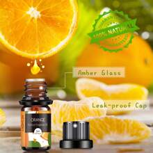 Bakery Essential Oils, 14 Pack  Essential Oils (Bakery,Fruit,Flora) Fragrance Oil For Diffusers, Candle Making - Holiday Fragrance Oil Pumpkin Pie, Coffee Cake, Oatmeal Cookie, Gingerbread, Cinnamon Apple Aromatherapy Scented Oils (0.17oz) - Fruit 14*5 SET - 查看 4