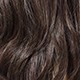 Brown Highlight