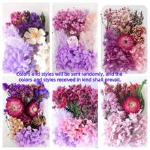 1 盒永生花 DIY 材料套装，节日礼物，热销现货 - 紫色系 - 查看 2