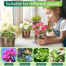 24 Pack 6/5/4/3-Inch Transparent Nursery Flowerpot Set (Flowerpot+Drain+Plant Marker Card), Transparent Plant Flowerpot, Plant Plastic Nursery Flowerpot, Seed Starting Flowerpot (3+4+5+6 Inches) Suitable For Various Plant Types And Growth Stages. Each Flowerpot Is Equipped With A Drainage Tray And A Plant Label Card For Easy Organization. Transparent Plastic Design Allows You To Easily Monitor Root Health And Soil Moisture - Clear - View 9