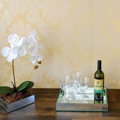 Bandeja De Vidro Espelhada Retangular 30x20 Cm