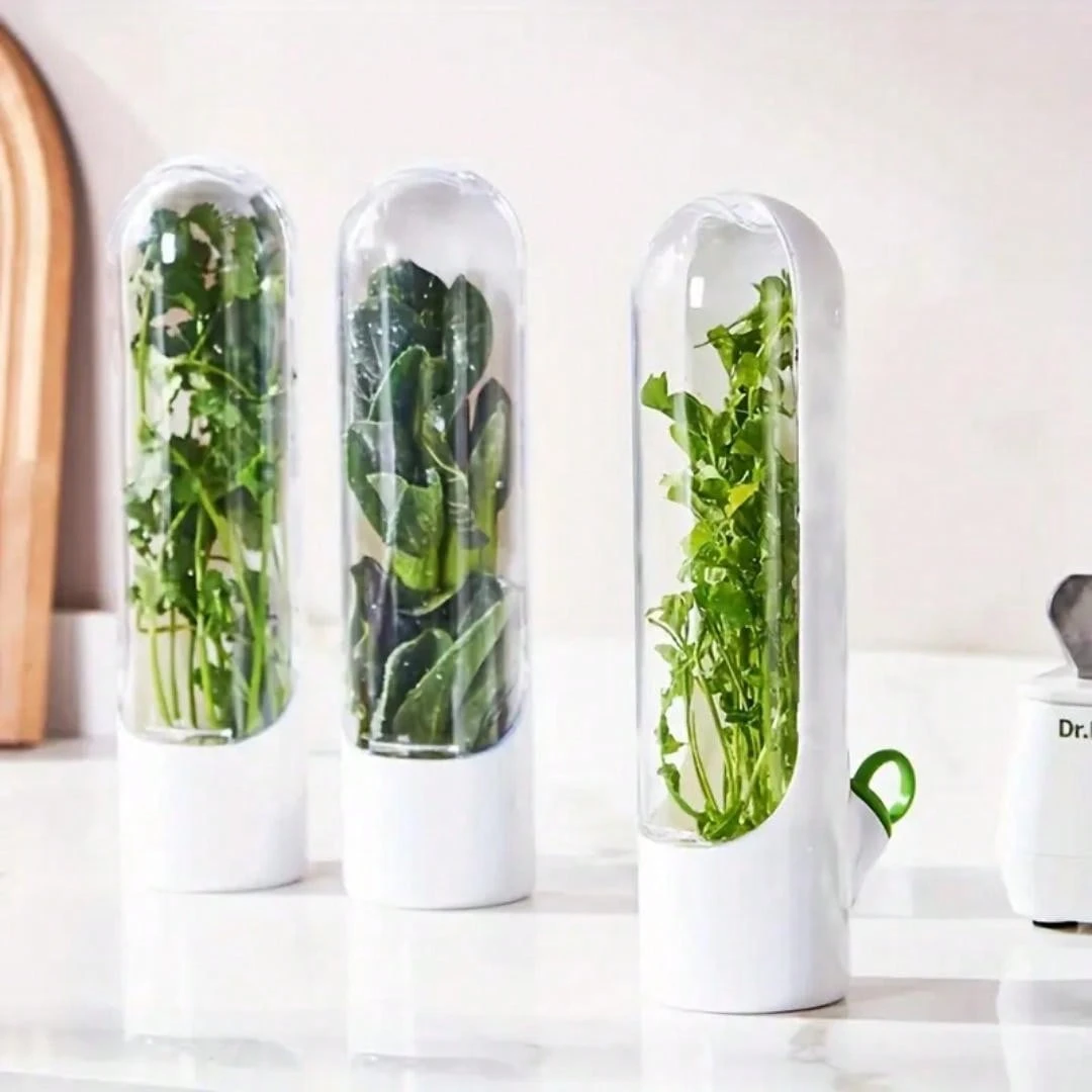 Contenedor Para Mantener Cilantro Fresco - Juego De 4, Con Depósito De Agua, Prolonga Frescura 2-3 Semanas