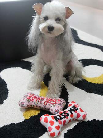 nicovaer 1pc Valentine's Day Realistic Bone Shaped Plush Toy, Red Heart & Love Letter Print, Embroidered Text, With Sound Chip, Pet Companion Toy For Cats & Small Dogs, Valentine's Day Decor & Gift