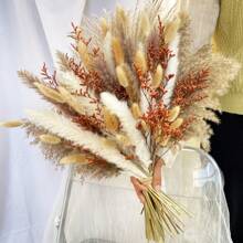 80 件天然干蒲苇花束，波西米亚风家居装饰，婚礼背景芦苇，乡村花卉装饰，春季装饰，情人节礼物生日毕业，秋季装饰，秋季