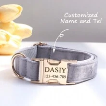 Multiple Colour Velvet Personalise Dog Collar Engraved Pet Name Plate Metal Buckle,Wedding Puppy Gift,Gold,Stylish,Soft And Does Not Harm The Skin,Colorful,Vintage,Simple,Unisex,Casual,Cuties,Custom,Personalized,Unique,Boyfriend,Girlfriend,Dad,Mom,Family,Friends,For Anniversaries,For Birthdays,For Graduation,For Prom,For Party,Gold Jewelry,Ideal Gifts For Him,Ideal Gifts For Her