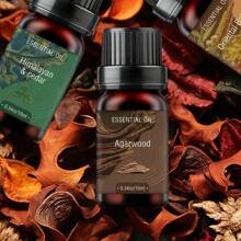 Essentielles Öl Set, für Aromatherapie Zuhause, Kerzen, Luftbefeuchter, Verdampfer, hochkonzentriertes ätherisches Öl Gipsverdampfer, (A: Adlerholz & Bernstein & Weihrauch & Himalaja-Zeder & Ambra & Orientalischer Bacor B: Adlerholz & Bernstein & Weihrauch & Himalaja-Zeder & Moschus & Guajakholz *10ml/0,34oz)