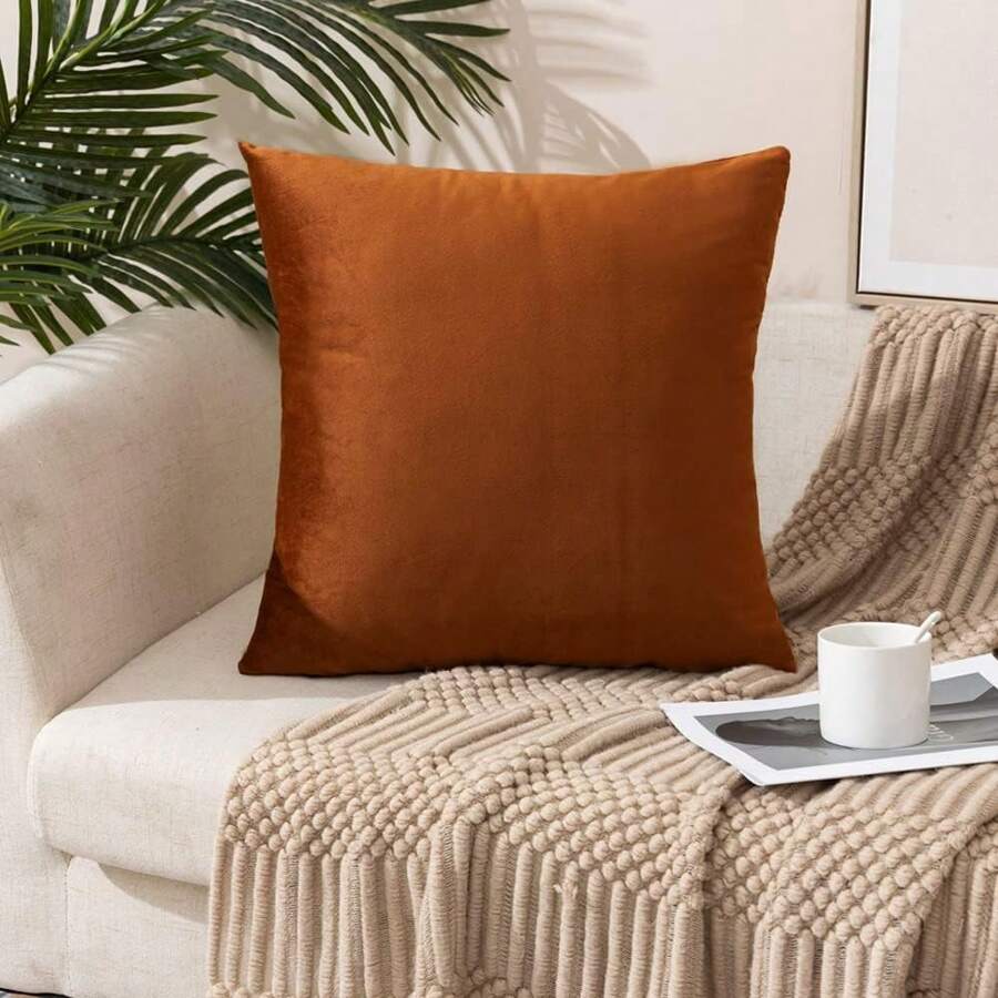 天鹅绒般柔软，优雅光泽，天鹅绒枕套为您的室内增添奢华气息，是客厅、卧室、儿童房、客房的理想之选。触感柔软，多种颜色可选，是装饰沙发或床的理想之选。