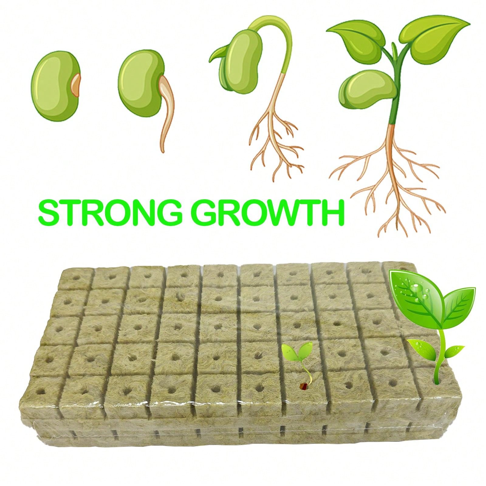 Mottes de semis Blocs de terre pour la culture de semis et la germination hydroponique, cubes