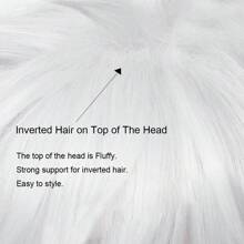 White Men Short Synthetic Straight Fluffy Wig Anime Game Cosplay Wig Heat Resistant For Daily Party - White - View 8