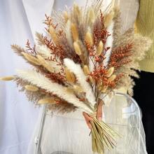 80 件天然干蒲苇花束，波西米亚风家居装饰，婚礼背景芦苇，乡村花卉装饰，春季装饰，情人节礼物生日毕业，秋季装饰，秋季