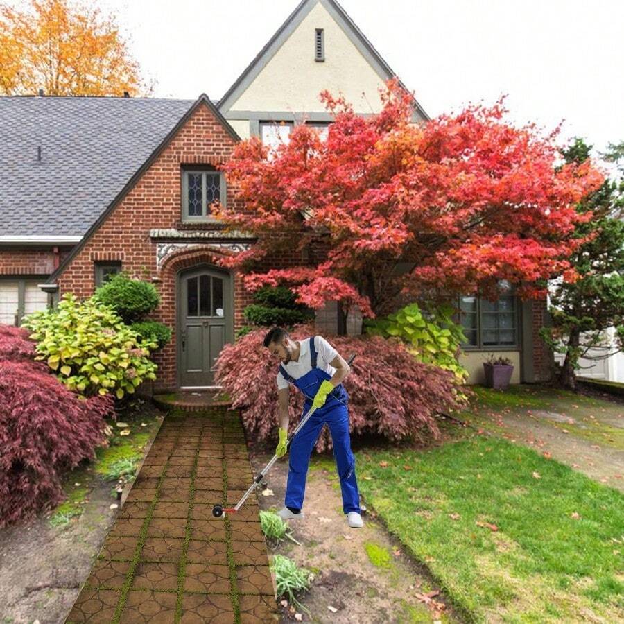 Crazy Weeds Marauder, Sidewalk Crack Weeder Crevice Weeding Tool