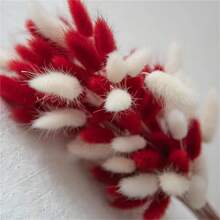 110-Piece Red And White Pampas Grass Bouquet - Festive Decoration For Christmas, Halloween, Easter, Thanksgiving - Great For Weddings, Parties And Table Arrangements - Home, Kitchen Decoration - Dried Flowers And Artificial Flower Arrangements