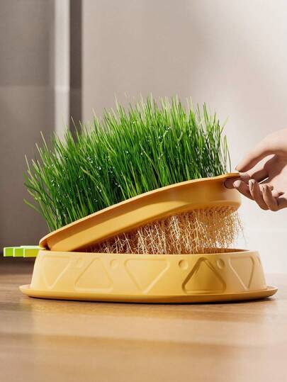 1 pieza (sin semillas) Kit de cultivo hidropónico de hierba para gatos para mejorar la digestión y la salud - Incluye caja de invernadero de cultivo sin tierra para siembra hidropónica, para jardinería y germinación (excluye el kit de siembra de semillas)