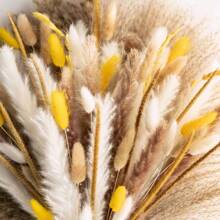 72/100 pièces Herbe de Pampas naturelle séchée, décoration boho pour la maison, bouquet de fleurs. Fleurs séchées de roseau pour mariage, décoration de la maison, décoration printanière, Saint-Valentin