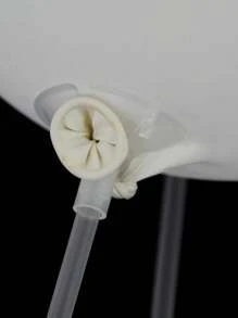 20 支气球棒，透明气球棒，婚礼、生日、派对气球架，周年庆典