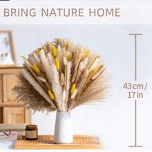 72/100 pièces Herbe de Pampas naturelle séchée, décoration boho pour la maison, bouquet de fleurs. Fleurs séchées de roseau pour mariage, décoration de la maison, décoration printanière, Saint-Valentin
